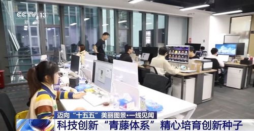 一線(xiàn)見(jiàn)聞丨順藤摸瓜 深圳科創(chuàng)青藤體系如何賦能硬科技轉(zhuǎn)化