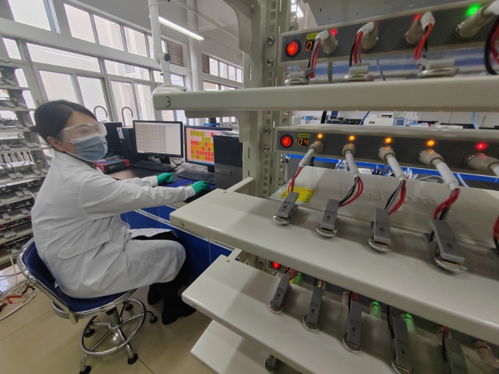 中國(guó)首創(chuàng)！洛陽(yáng)牡丹殼變廢為寶，開(kāi)啟鈉電池負(fù)極材料新紀(jì)元