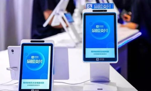 刷臉支付 撬動(dòng)數(shù)字營(yíng)銷(xiāo)新紀(jì)元與數(shù)碼產(chǎn)業(yè)新增長(zhǎng)